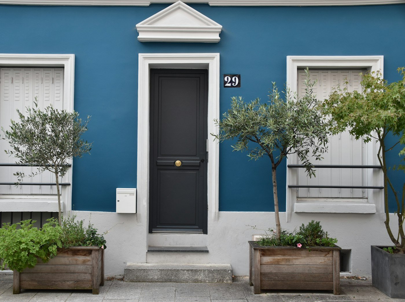 Blue front door of a UK home with a plant beside it