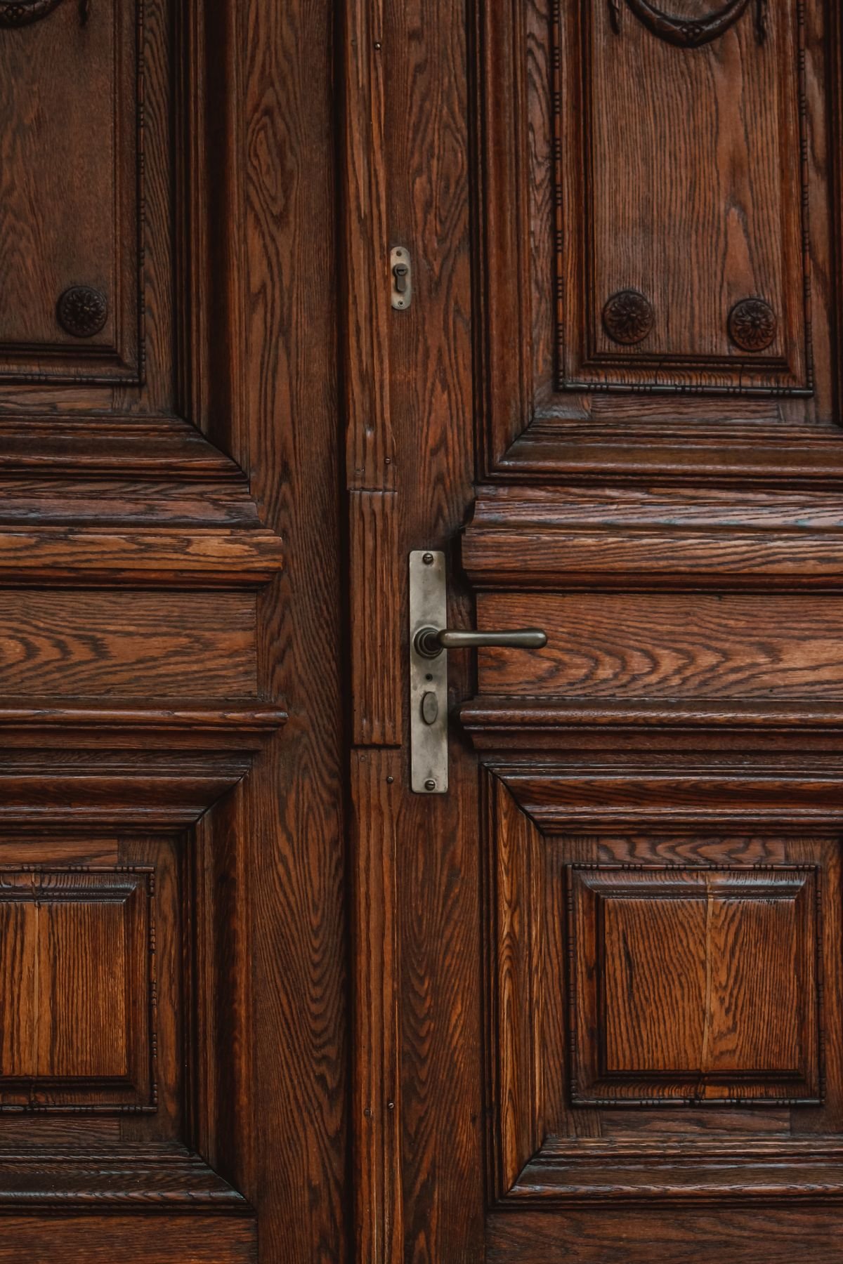Panelled timber double front door with lever handle