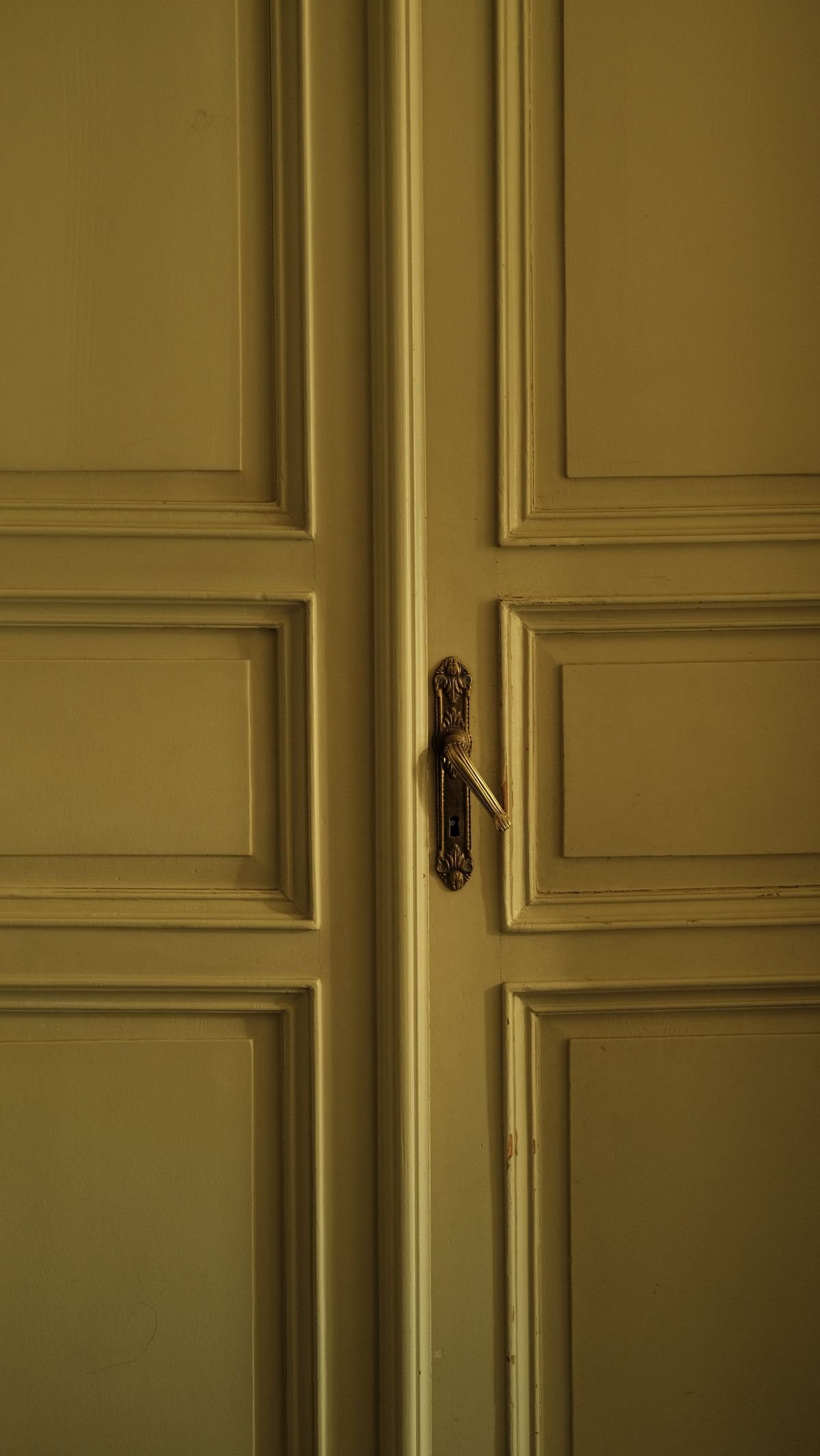 Painted panelled double door with brass handle